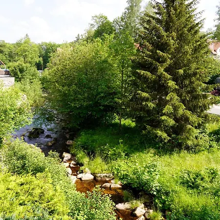 Forellengrund