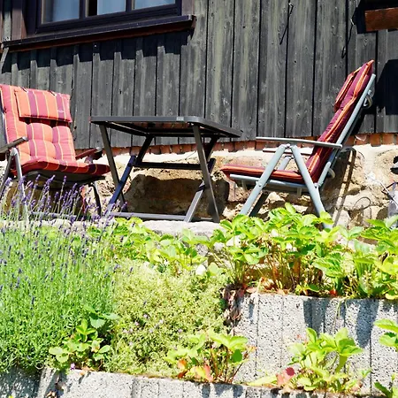 Lejlighed Forellengrund