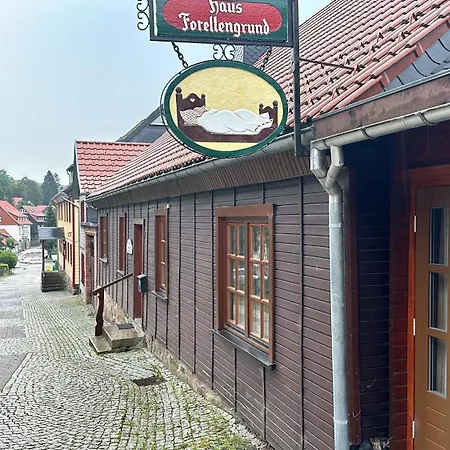 Forellengrund Apartment Schierke