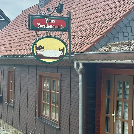 Lejlighed Forellengrund *